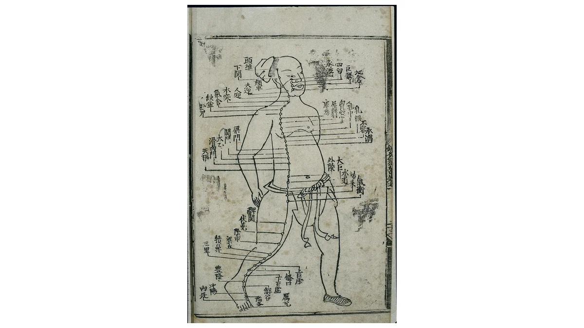 서 있는 사람의 얼굴에서 가슴과 배, 다리 앞쪽을 지나 발끝까지 점으로 이어진 경로와 각 경혈의 한자 이름이 적힌 명나라 목판 경맥도